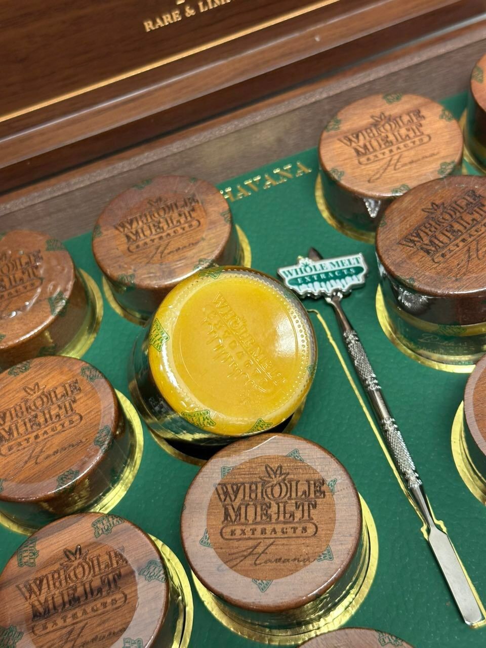 Whole Melts Havana Editions Whole Melts Havana Edition